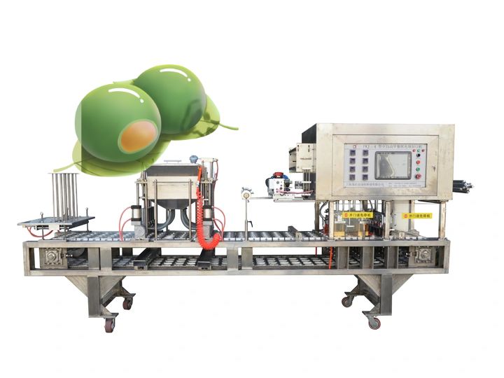 龍應(yīng)青團(tuán)全自動(dòng)封口機(jī) 龍應(yīng)青團(tuán)全自動(dòng)封口機(jī)