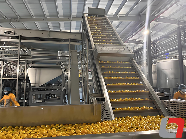 龍應(yīng)果汁生產(chǎn)線設(shè)備多少錢 龍應(yīng)果汁生產(chǎn)線設(shè)備多少錢