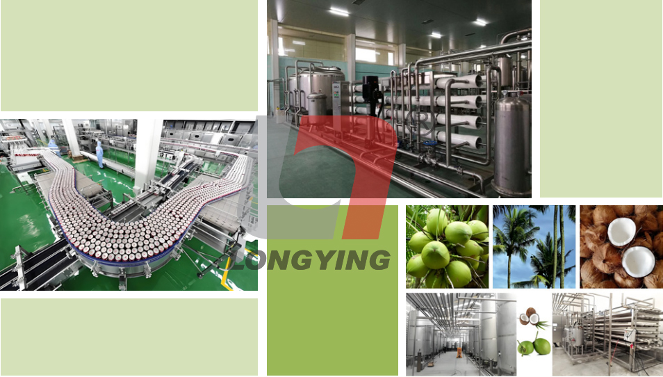 (鮮榨/濃縮)椰子汁生產(chǎn)線 (鮮榨/濃縮)椰子汁生產(chǎn)線