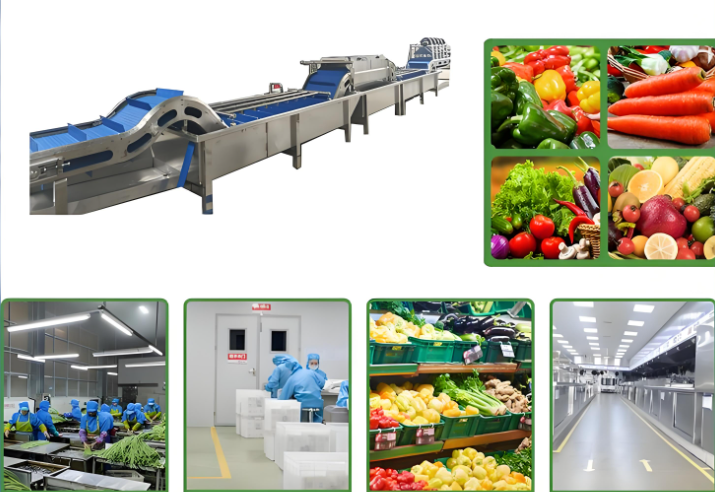 龍應(yīng)工藝賦能蔬菜沙拉生產(chǎn)線